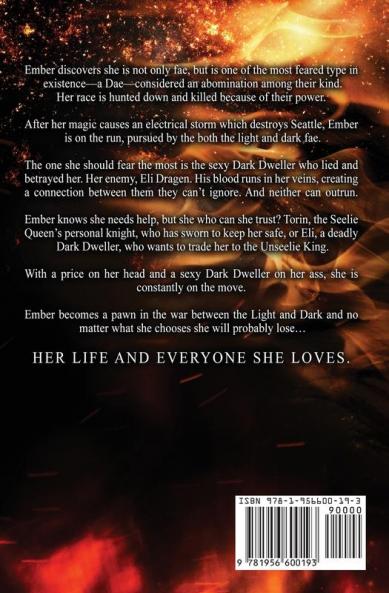 Fire In The Darkness