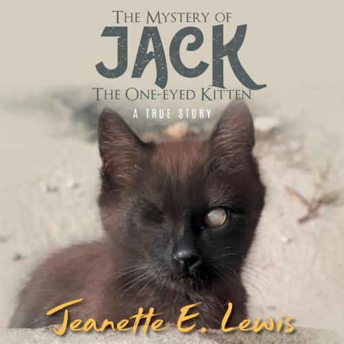 The Mystery of Jack the One-Eyed Kitten