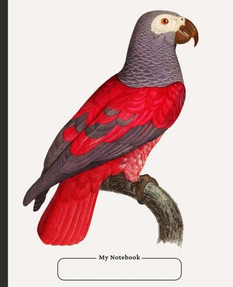 Cornell Notebook college ruled with dot grid note-taking area 100 pages compact size with Table of Contents