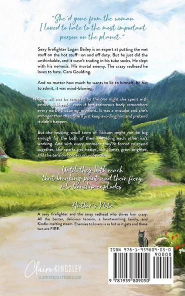 Chasing Her Fire: A Small Town Romance: 5 (Bailey Brothers)