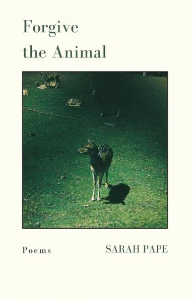 Forgive the Animal