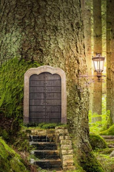 Forest Door Discreet Internet Password Logbook Large Print