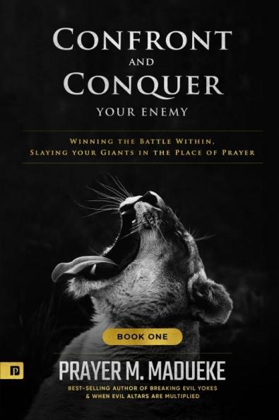 Confront and Conquer your Enemy (Book 1)