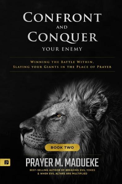 Confront and Conquer your Enemy (Book 2)