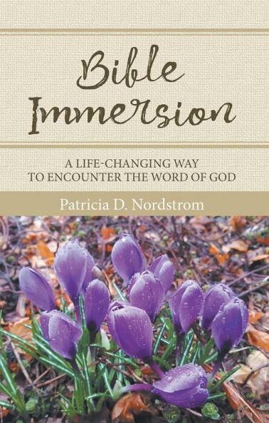 Bible Immersion