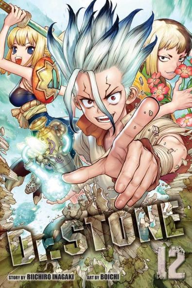 DR STONE VOL. 12