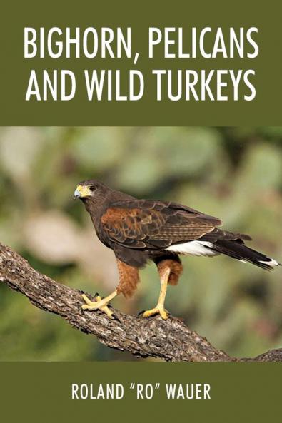 Bighorn Pelicans and Wild Turkeys