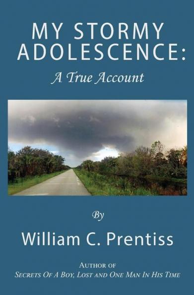My Stormy Adolescence