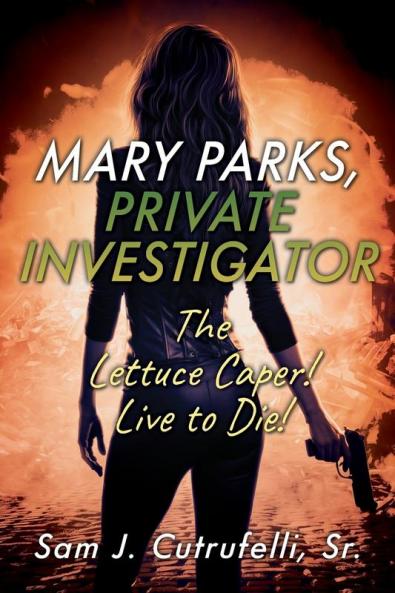 Mary Parks Private Investigator