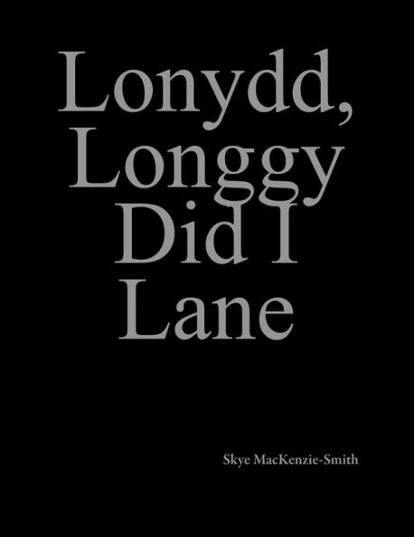 Lonydd Longgy Did I Lane