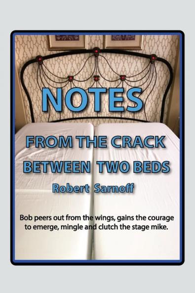 NOTES FROM THE CRACK BETWEEN TWO BEDS