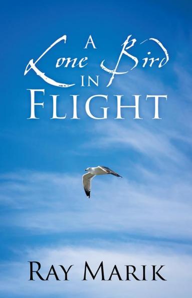 A Lone Bird in Flight