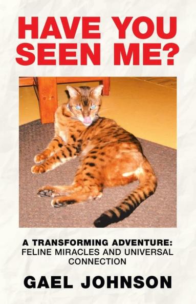 Have You Seen Me?