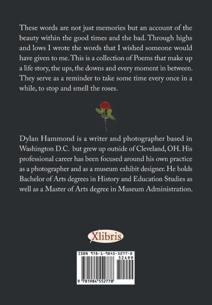 A Walk Among Roses