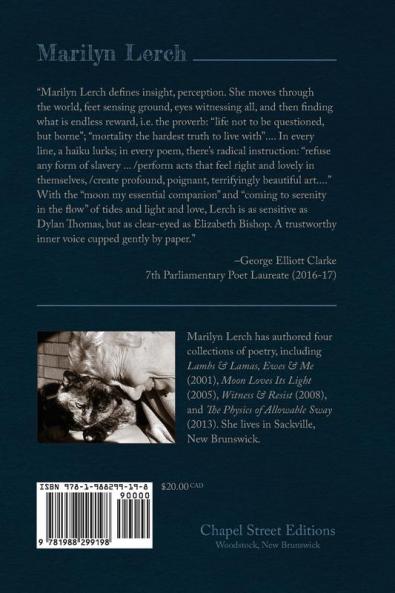 That We Have Lived At All: poems of love witness & gratitude