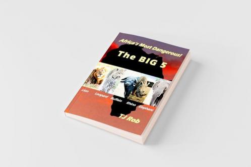 Africa's Most Dangerous - The Big 5
