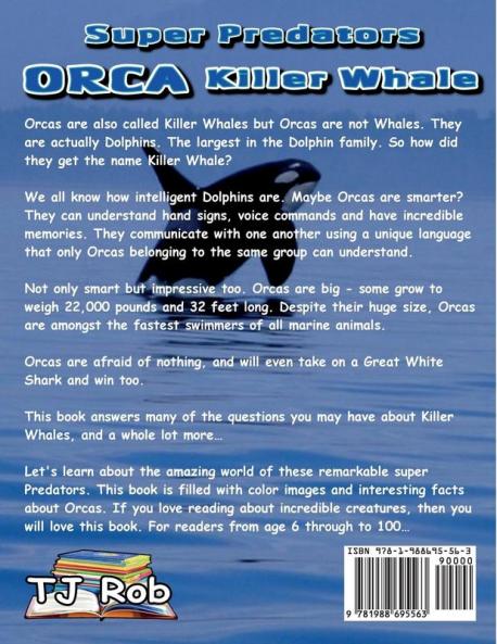 Orca Killer Whale