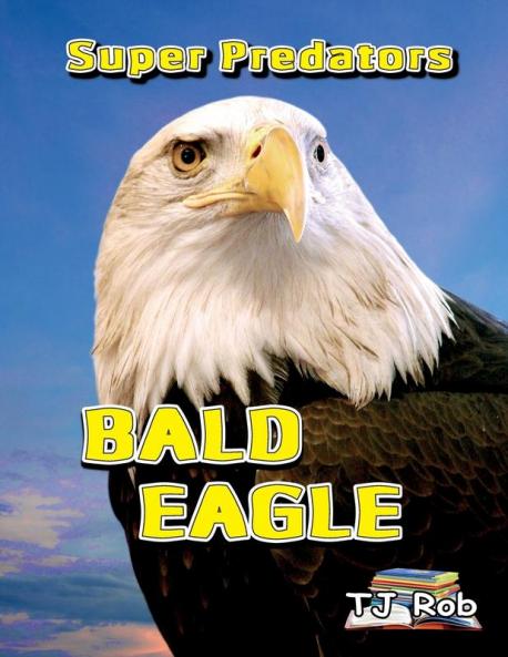 Bald Eagle: Age 6 and above (Super Predators)