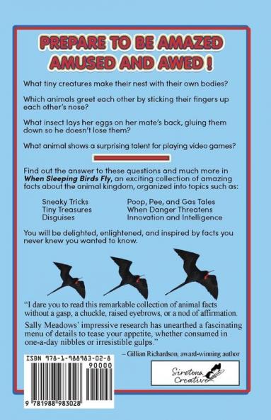 When Sleeping Birds Fly