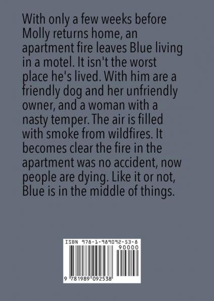 Columbia Smoke: A Blue in Kamloops Novel: 2