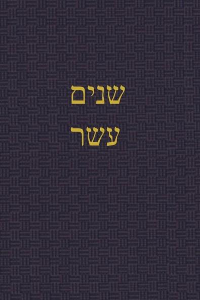The Book of the Twelve