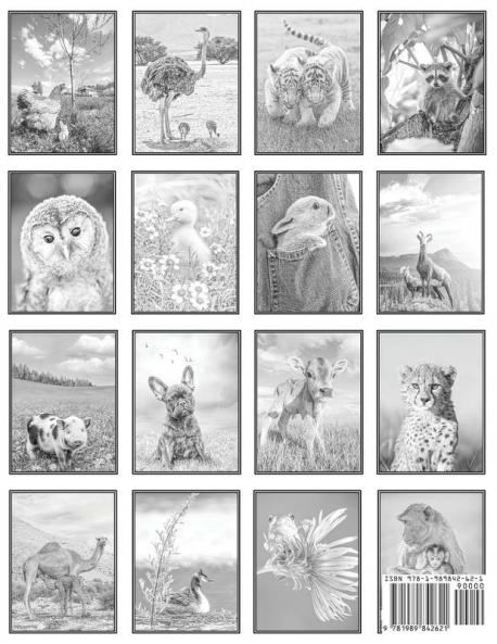 Adorable Baby Animals Grayscale Coloring Book: 32 Sweet Pictures to Color Featuring Baby Camels Pigs Ducks and Much More