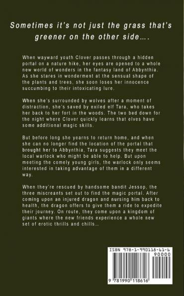 The Enchanted Forest. An Erotic Fairytale