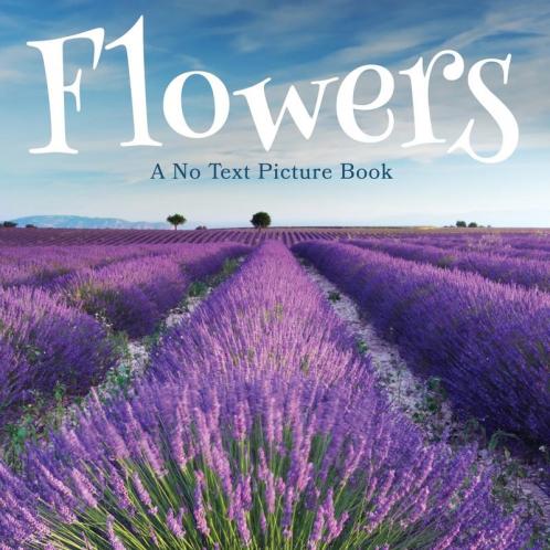 Flowers A No Text Picture Book