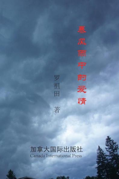 暴风雨中的爱情 (Chinese Edition)