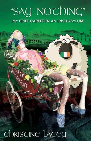 Say Nothing-My Brief Career in an Irish Asylum: 1
