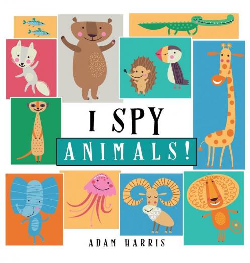 I Spy Animals!: A Guessing Game for Kids 1-3 (I Spy Books Ages 2-5)