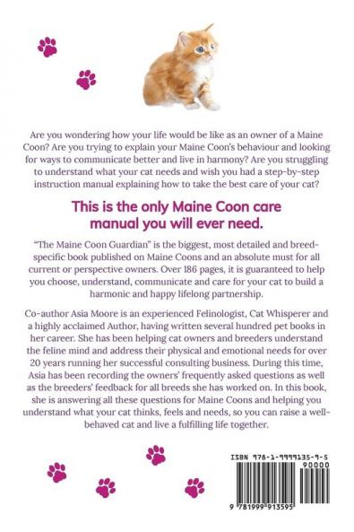 Maine Coon Cat: From bringing your kitten home to comforting your senior age companion