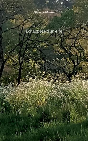 Echappées d'un elfe