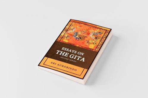 Essays on the GITA