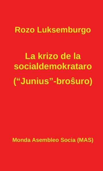 La krizo de la socialdemokrataro (Junius-broŝuro): Kun Lenino: Pri la Junius-broŝuro: 207 (Mas-Libro)