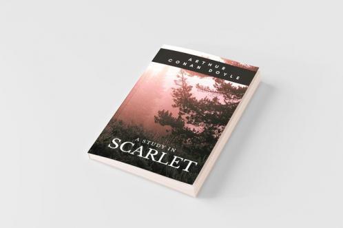 A Study in Scarlet
