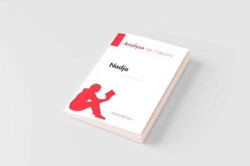 Nadja d'Andre Breton: Comprendre la littérature avec lePetitLittéraire.fr