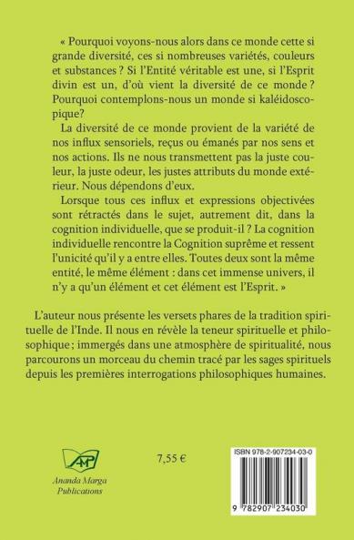 Nectar de l'Enseignement spirituel tome 2