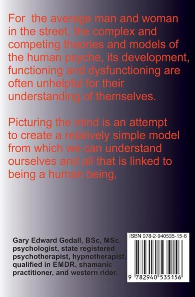 Picturing the Mind Vol 1 A simple model capable to explain the functioning and dysfunctioning of the human psyche.: Introduction to the Field theory of Human Functioning