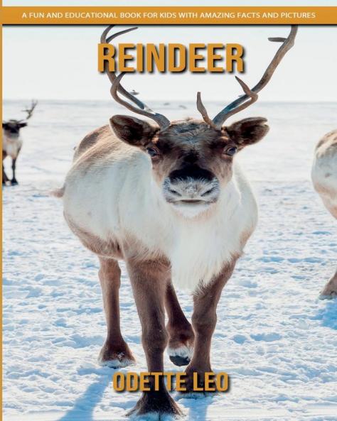 Reindeer