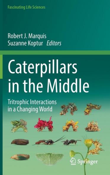 Caterpillars in the Middle