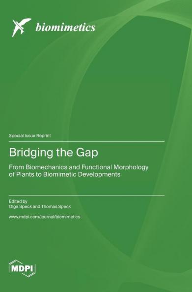 Bridging the Gap