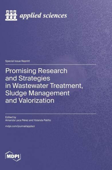 Promising Research and Strategies in Wastewater Treatment Sludge Management and Valorization