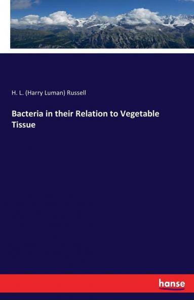 Bacteria in their Relation to Vegetable Tissue
