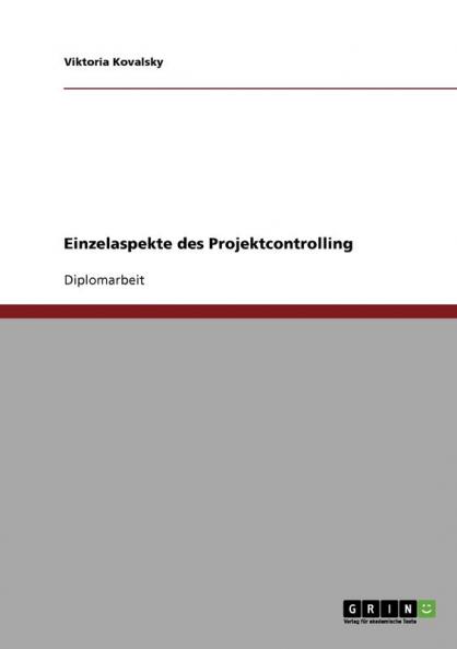 Einzelaspekte des Projektcontrolling
