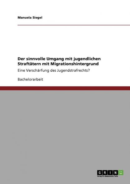 Der sinnvolle Umgang mit jugendlichen Straftätern mit Migrationshintergrund