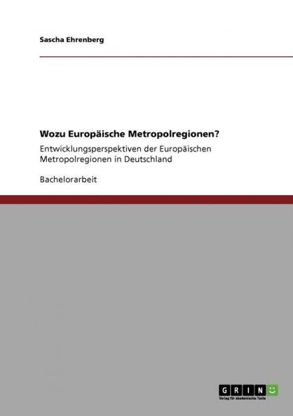 Wozu Europäische Metropolregionen?