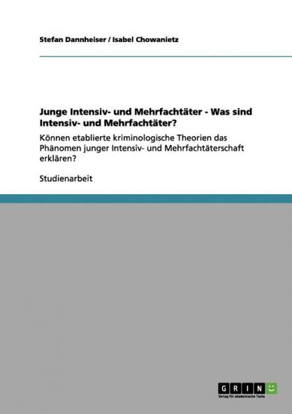 Junge Intensiv- und Mehrfachtäter - Was sind Intensiv- und Mehrfachtäter?