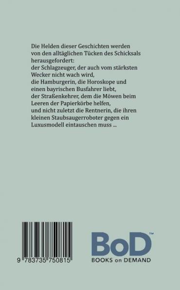 Staubsaugerroboter und Weckerkatze