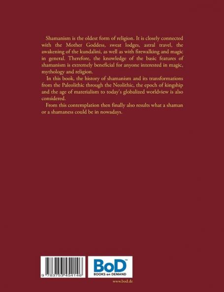 Shamanism for Beginners